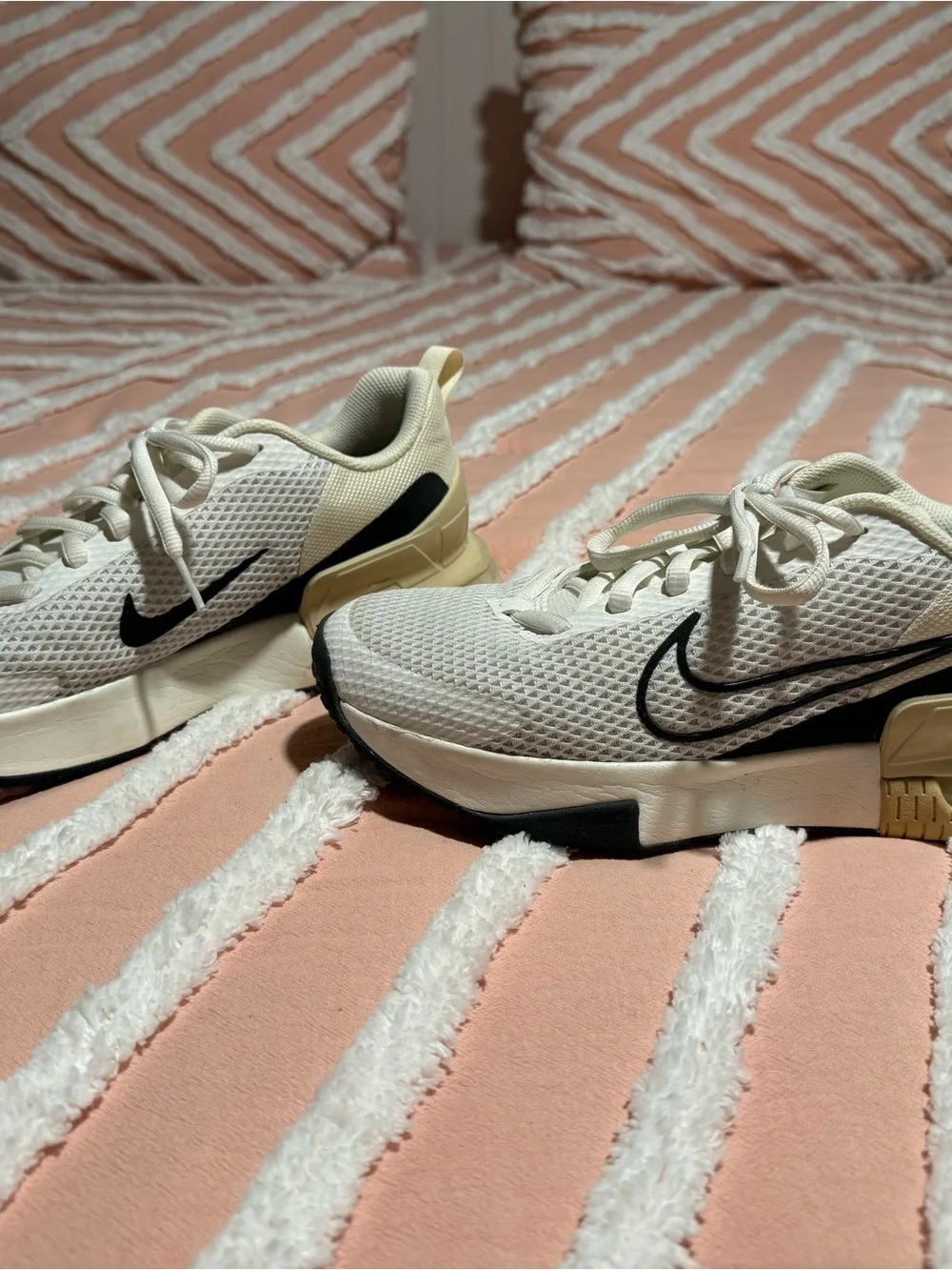 Nike Men’s AirMax sneakers
